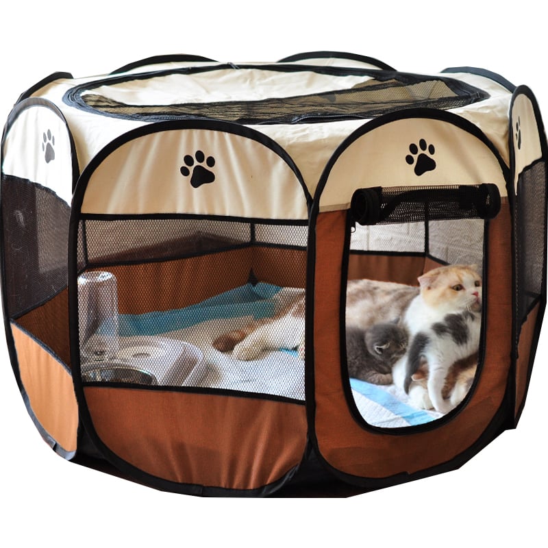 Tragbare Katzen-/Hundekiste