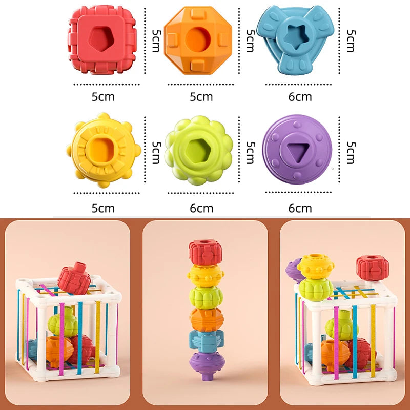 Montessori Shape Sorting Blocks
