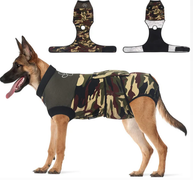 Verstellbarer Genesungs-Bodysuit für Hunde – Anti-Leck-Anzug für die Zeit nach Operationen