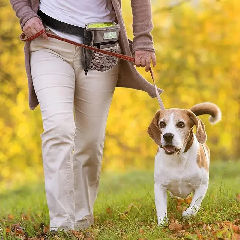 Tragbare Hüfttasche für das Hundetraining