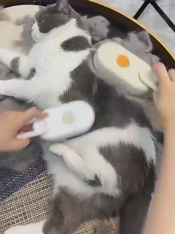 Elektrische spray Massage kamm für katzen und hunde