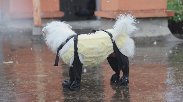 Hundeschuhe, wasserdicht, verstellbare Schuhe für Hunde, rutschfeste Hundestiefel, Outdoor-Schutzzubehör für Französische Bulldogge, Corgi, Pudel